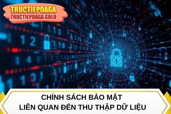 Chính sách bảo mật thu thập dữ liệu mới nhất