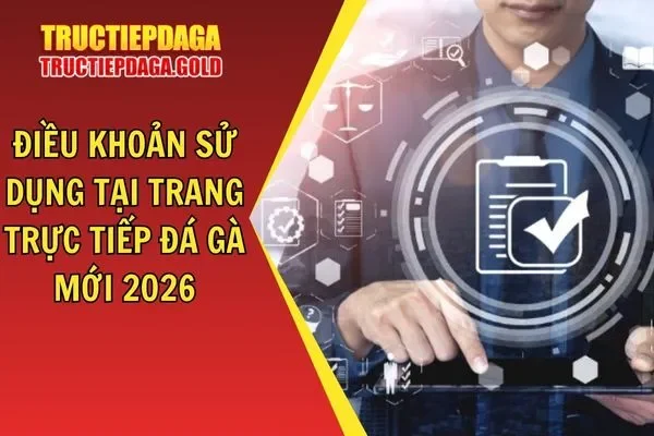 Điều Khoản Sử Dụng Tại Trang Trực Tiếp Đá Gà Mới 2026