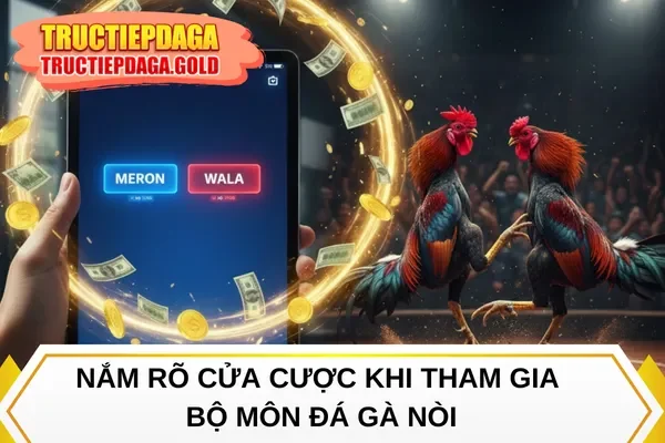Nắm rõ cửa cược khi tham gia bộ môn đá gà nòi